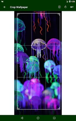 Neon Wallpaper android App screenshot 3